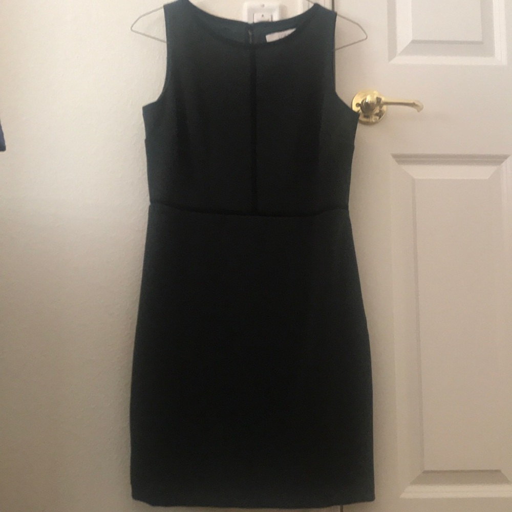 Loft 6 Petite 6P shift dress